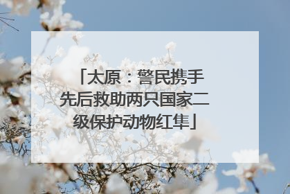 太原：警民携手 先后救助两只国家二级保护动物红隼